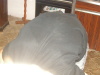 P1010415.jpg, 83 kB